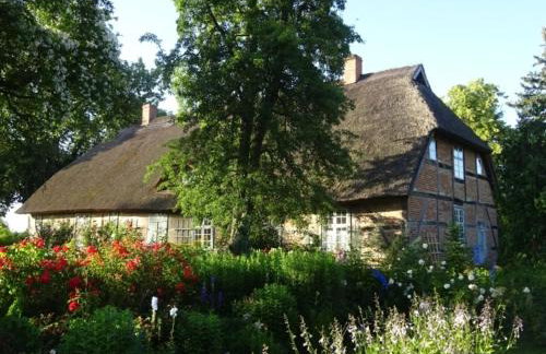 Ferienwohnung Birnengarten am Pfarrgarten Starkow - Foto 10