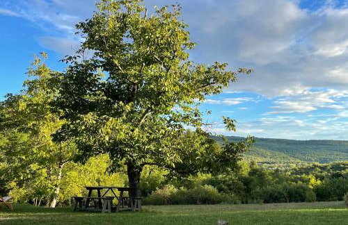 Bolara 60: the Cottage - Foto 15