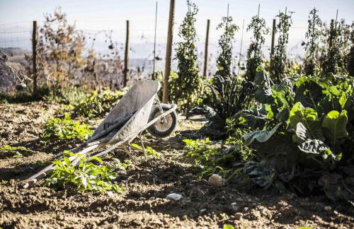 Azienda Agrituristica Alcastlè - Foto 68