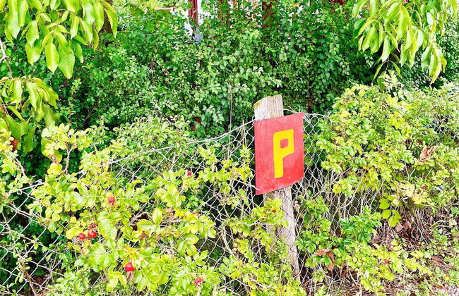 5 Person Holiday Home in Borgholm - Foto 17