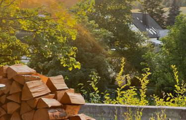 Haus Maensel - Photo 17