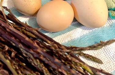 Conte Čikara Apartment - Foto 35