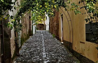 Il Portico Rosa - Foto 71