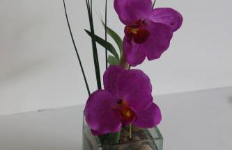 Casa das Camélias - Family Villa by the lagoon - Photo 44