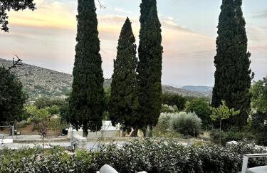 Village Garden Retreat - Photo 8