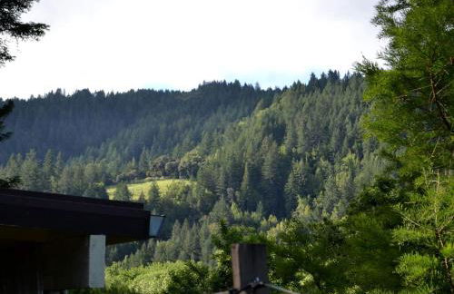 Beautiful Cottage Rental with Private River Beach on the Russian River, California - Foto 16