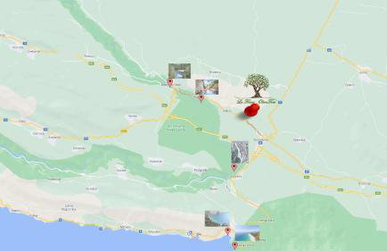 La Finca OliveTree - Foto 53