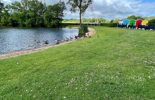 Wildflower, Premium Plus Hot Tub Lodge - Foto 43