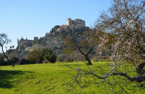 Finca Son Blat - Photo 60