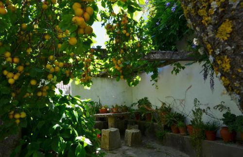 Vila Casa Do Sobral - Foto 33