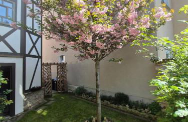 außergewöhnliches, historisches, spätgotisches Wohnhaus von 1519, Gries 5 - Foto 50