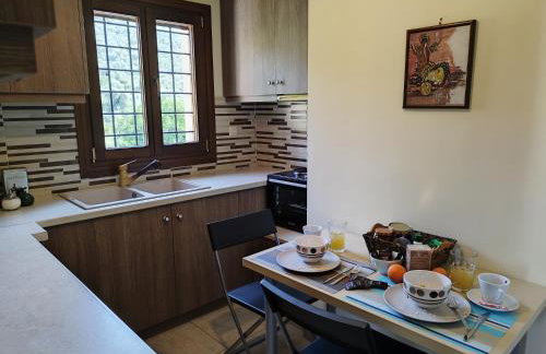 Estia Kleio - Foto 13