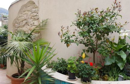 L'ORTO MAGNO - Photo 11