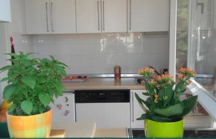 Holiday home Pavarotti - Foto 20