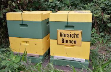 Ferienwohnung Wiesenweg - Foto 10