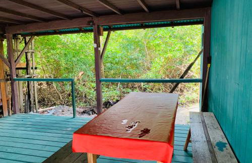 FM Algodoal - Foto 4