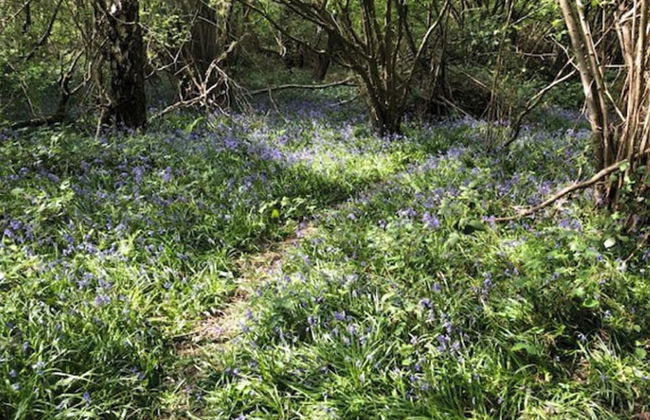 1 Bedroom Apartment Sleeps 2 - Pets Welcome - Tv - Foto 7