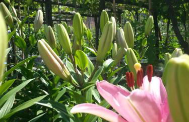 Villa Celeste - Foto 77