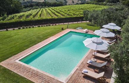 Il Passo Degli Ulivi - Foto 4