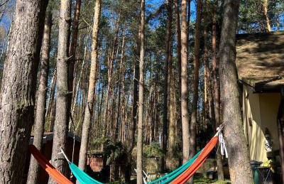 Kurort Mirowice-domek w lesie, z balią z jacuzzi i hydromasażem - Foto 15