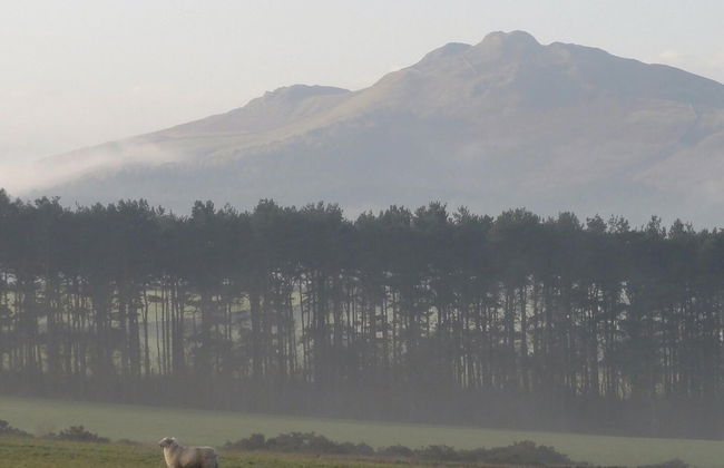 Cottage in Jedburgh With Stunning Views - Foto 17
