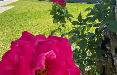 Villa Céu e Mar - Foto 39