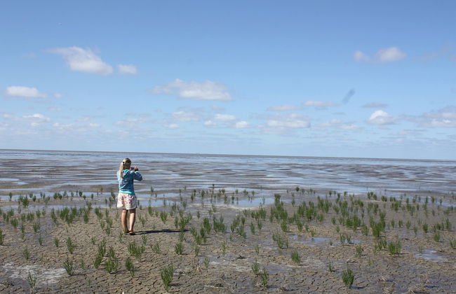 Traditional Villa in Tzummarum near Sea - Foto 39
