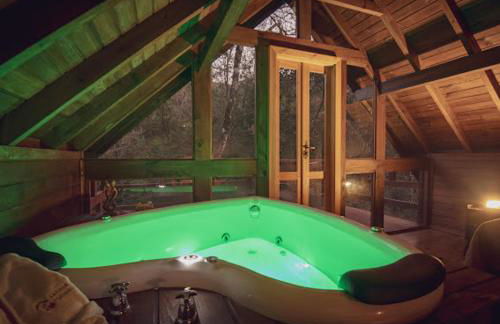 Cabanas dos Plátanos - Foto 15