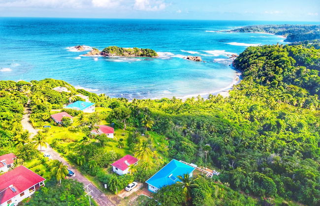 Blue Whale Villa - Photo 66