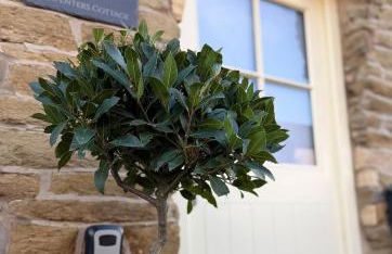 Carpenters Cottage Derbyshire, with romantic 4 poster bed - Foto 27