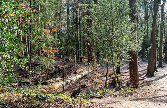 Cosy Holiday Home in Appelscha With Garden - Foto 57