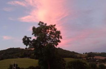 A casa di Matisse - appartamento vacanze - Foto 28