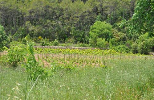 Lou Colibri - Foto 8