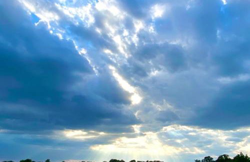 Ferienwohnung auf Pferdehof - Foto 36