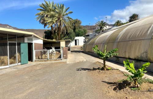 Finca Los Quevedo - Los Corralillos - Photo 35