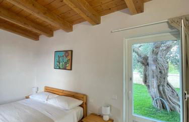 Masseria Fanizzi - Foto 32