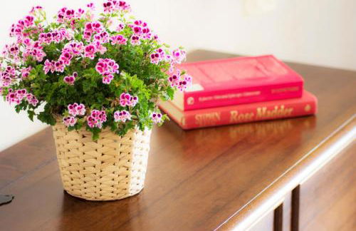 Casa Acquamarina - comfort e relax a pochi passi dalle spiagge del Salento - Foto 25