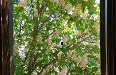 Agriturismo Terralieta - Foto 78