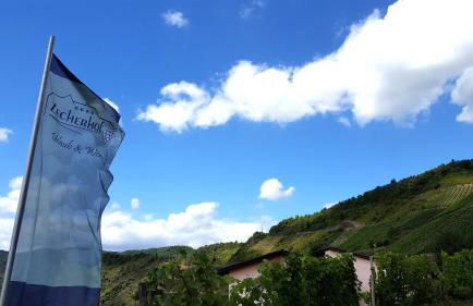 Urlaubsweingut Zecherhof - Photo 12