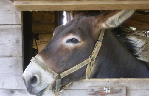 Agriturismo Le Serre - Foto 33