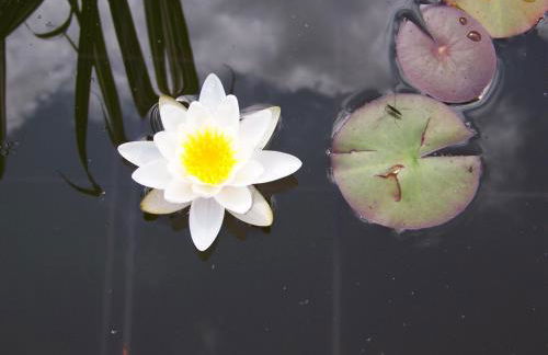 Gästehaus Rachelblick - Foto 39