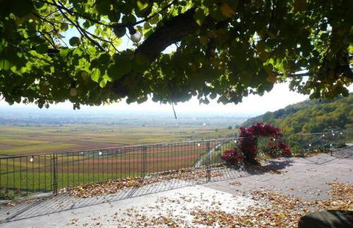 Phönix aus der Asche - Foto 38