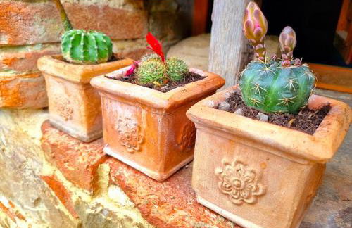 Podere Mencoini, stylish villa with private pool and olive garden - Photo 20