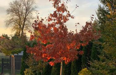 Stodoła Chillout Apartments - Foto 39