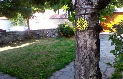 Ginî Viñis - Foto 28