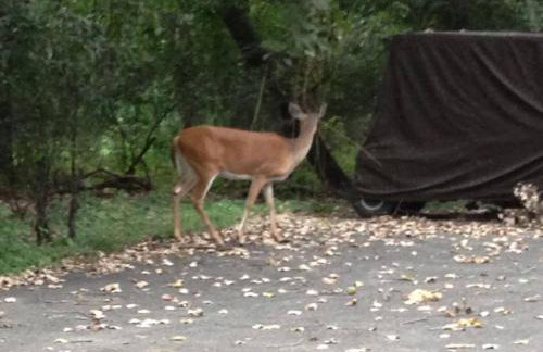 Early check in- late check out Free day! - Foto 40