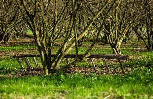 Cà d'Rita Monferrato - Chardonnay idromassaggio e piscina esterni - Foto 39