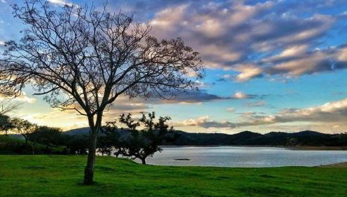 Finca La Vicaria ROMERO - Foto 2