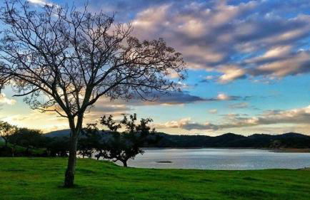 Finca La Vicaria ROMERO - Foto 2