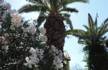 Alexandra Spingou Apartments - Foto 16